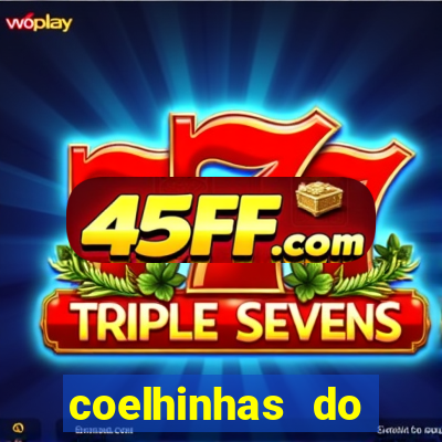 coelhinhas do brasil site
